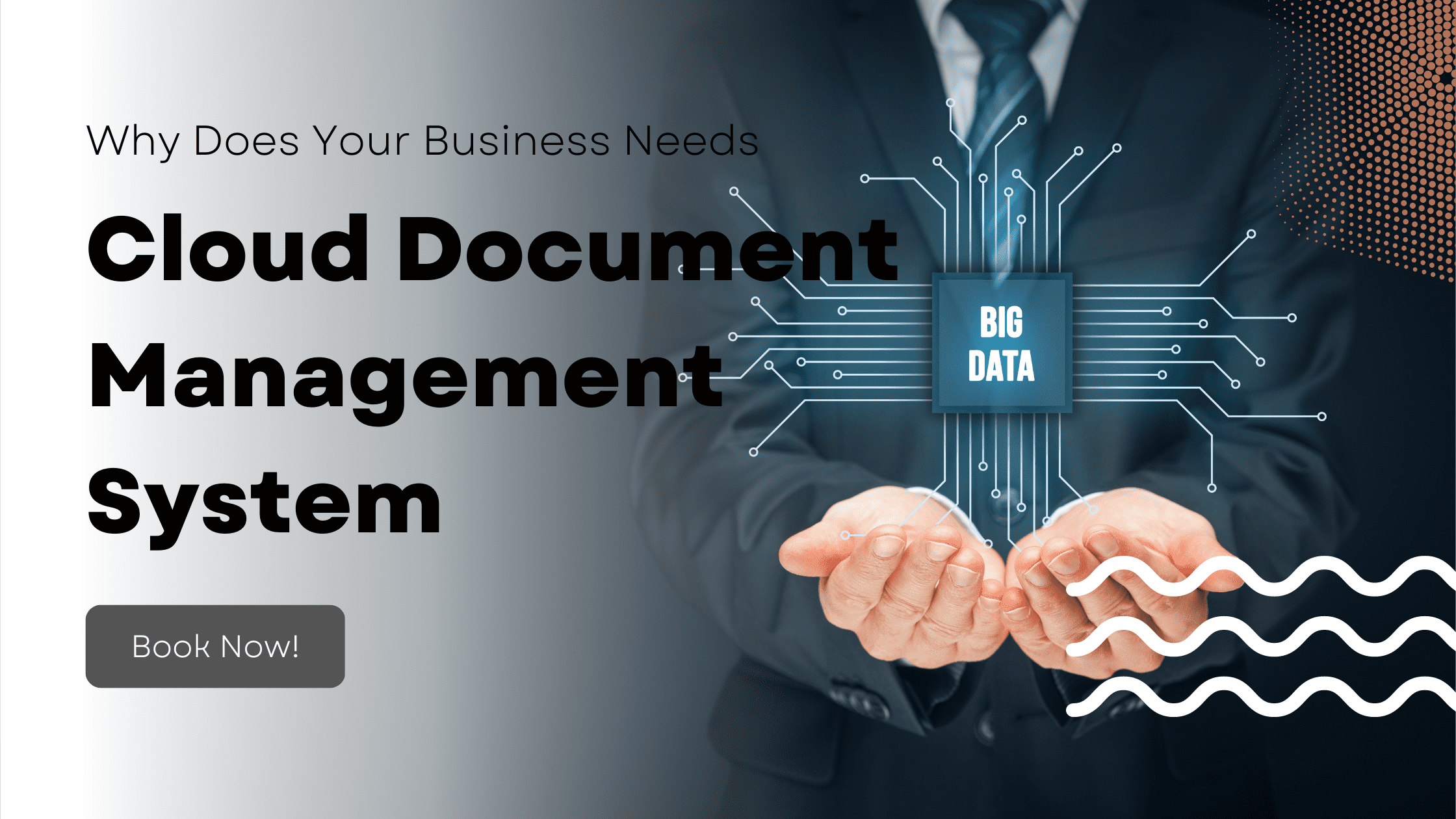 Why Does Your Business Needs Cloud Document Management System?