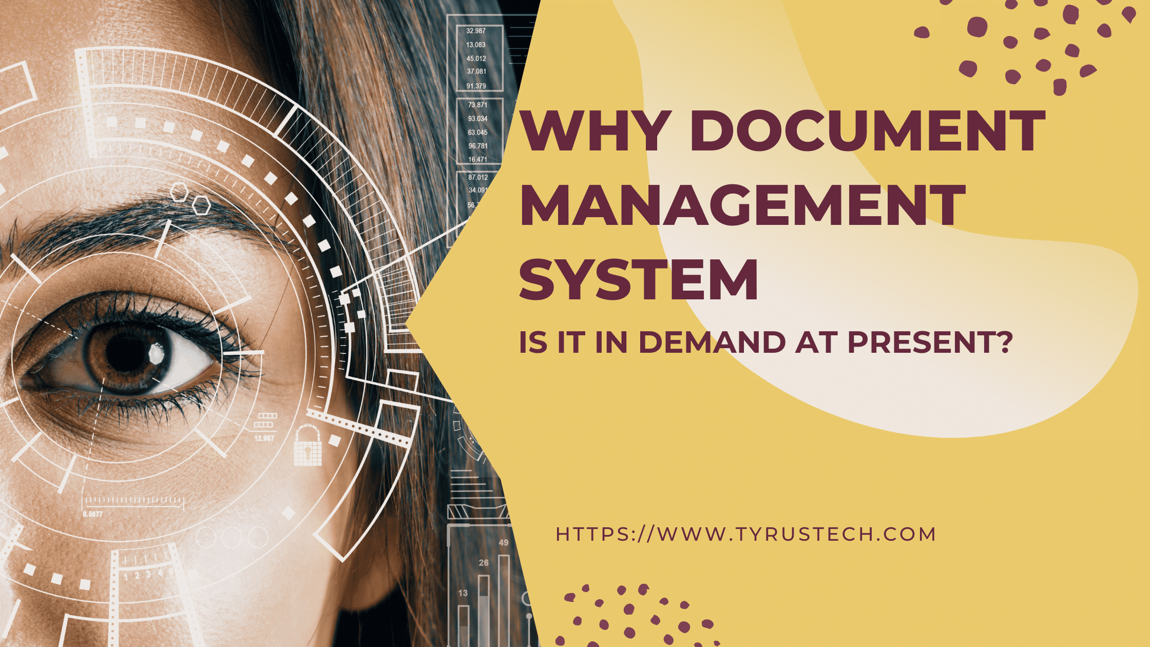 Why Document Management systems Is In Demand At Present?