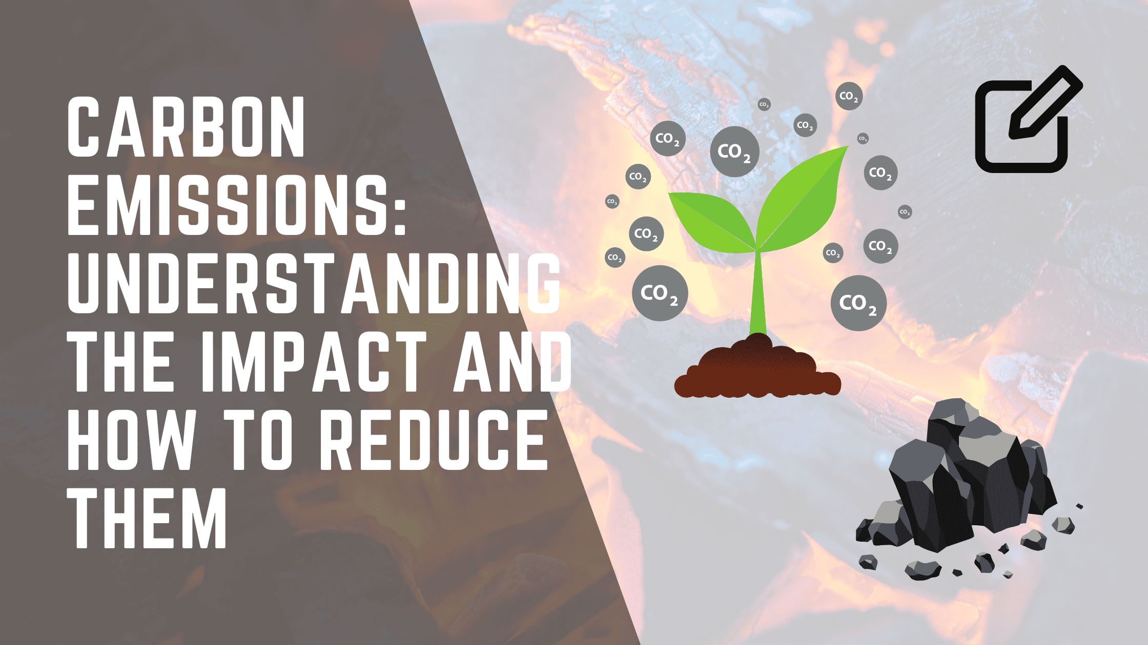 Carbon Emissions: Understanding the Impact and How to Reduce Them
